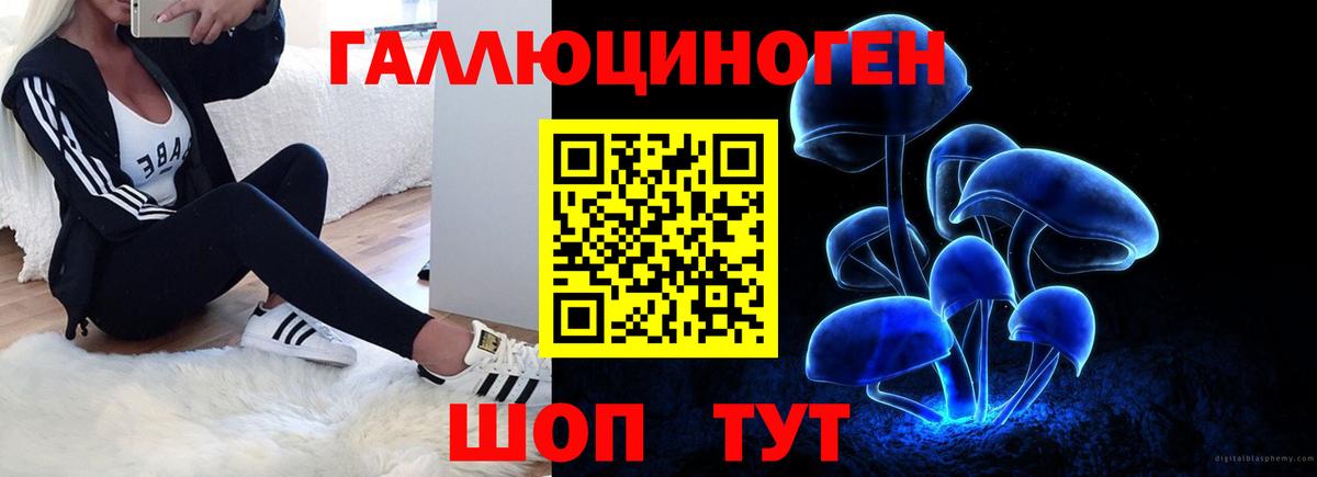 Галлюциногенные грибы Magic Shrooms  Галлюциногенные грибы мицелий  Вход с VPN  Нововоронеж 